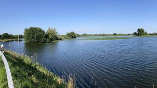 Am Sonntagvormittag bietet sich an der Stelle, wo sonst Gras und Getreide im Wind wogt, ein Blick auf einen großen Hochwas-sersee. Zwischen Weidweg (l.) und dem Wohnblock Leimbach (r.) gibt es kaum Rückzugsorte für das Wild.