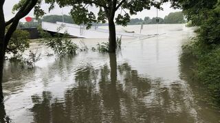 Land unter am Ufer: Der Anleger der Rheinkreuzfahrtschiffe wird vom Wasser heftig umflossen, Treibgut wird an den Steg gepresst.