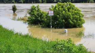Der Weg zwischen Rhein und Damm ist komplett überflutet. Der Deich darf nicht betreten werden – viele Menschen haben das ignoriert.