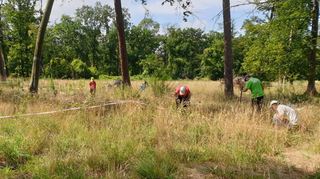 Erneut im Einsatz für eine dichtere Bewaldung zur Autobahn hin: Die Aktiven der Bürgerinitiative Pro Stadtwald C 4 haben den Wald mit Bändern in Abschnitte eingeteilt, in denen sie Gräser und Unkraut entfernen.
