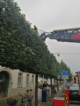 Lars Hoffmann steht oberhalb der Bäume in der Carl-Theodor-Straße im Rettungskorb.