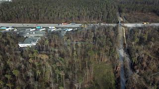 Der Stadtwald Hockenheim in Richtung Autobahn mit Blick auf die Tank- und Rastanlage: Wiederaufforstung ist eines der großen Themen, derer sich auch die städtische Politik annimmt, „auch dank der Bürgerinitiative C4“, sagt die CDU.
