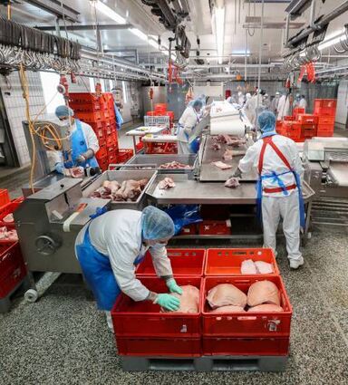 Den stärksten Rückgang gab es bei der Produktion von Geflügelfleisch.