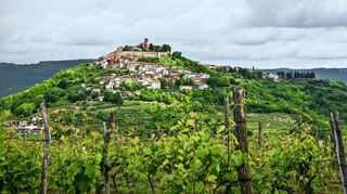 Das Örtchen Motovun sieht aus wie Italien, liegt aber in Kroatien.