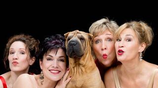 Die „Schönen Mannheims“ sind am 30. September mit ihrem Programm „Entfaltung“ zu Gast in der Festhalle.