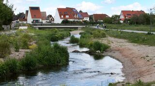Das HÖP-Gelände mit dem Kraichbach bietet für die Bevölkerung ein Stück Natur und Idylle mitten in der Stadt – auch die Tiere fühlen sich an diesem Ort wohl. Zudem bietet es Schutz vor Hochwasser, das alle 100 Jahre vorkommt.