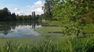 Der Große Weiher mit seinen Spiegelungen war vor zehn Jahren letztmals zugefroren.