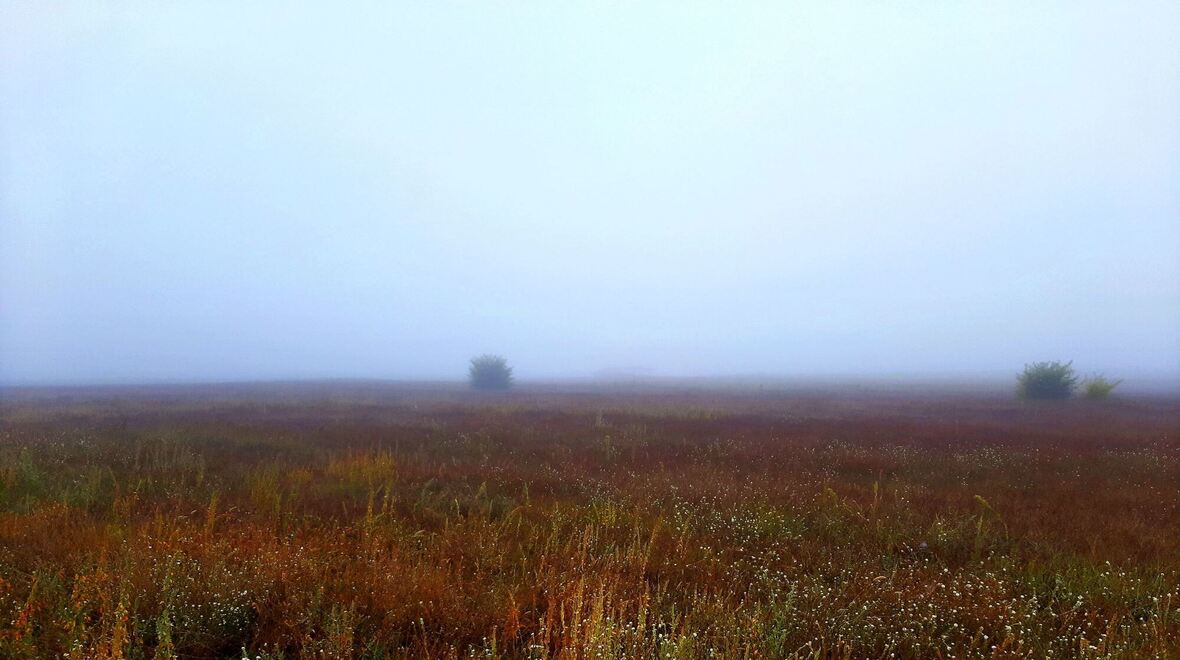 Leserfotos aus der Region - Fotos