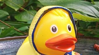 Tolle Bilder mit Nerzi Friese gibt es bei den Stadtwerken zum Voten.