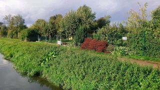 Im südlichen Bereich der Kleingärten „Münchswiese“ fällt ein Teil der Grundstücke weg, hier müssen auch Obstbäume gefällt werden. Im nördlichen Bereich kommen Flächen hinzu.