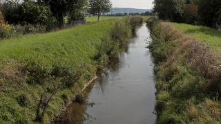 Der Leimbach – hier in Höhe des Hardtwaldrings mit Blick in Richtung Sandhausen – ist ein Teil Heimat für die Oftersheimer.