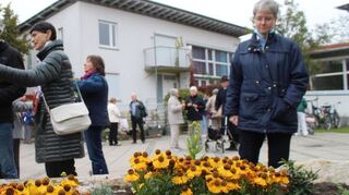 Am evangelischen Gemeindezentrum wurde ein Hochbeet angelegt. Neben Kräutern wurden auch blühende Stauden gesetzt – beide nicht nur schön anzuschauen, sondern vor allem auch besonders naturfreundlich.