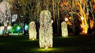 Im Ahrtal: Die Licht- und Kunstinstallationen der Uferlichter in Bad Neuenahr schaffen eine ganz besondere Winterstimmung.