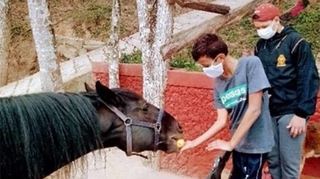 Bei der Tiertherapie werden beispielsweise Pferde von den Jugendlichen gestriegelt und gefüttert.