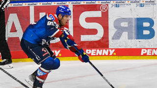 Adler-Angreifer David Wolf beim Heimerfolg über die Eisbären aus Berlin.