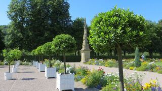 Lorbeerbäumchen und Zitrusfrüchte – wie hier im Schlossgarten Weikersheim – werden in der U-Halle präsentiert.