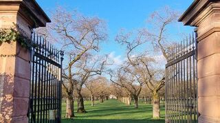 Der Eingang zum Obstgarten steht offen, die ersten Knospen zeigen einen rosa-weißen Hauch des Frühlings auf. Die Kirschblüte im Schlossgarten beginnt bald.