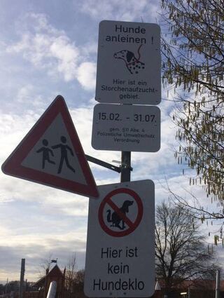 Im Storchenaufzuchtgebiet herrscht bis Ende Juli Leinenpflicht für Hunde.