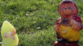 Mal kein Zwerg: Das Igelchen hat sich mit in die Parade gemischt.