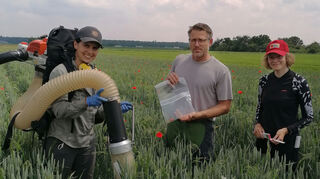 Doktorandin Adriana Riemenschneider (l.) von der Uni Hohenheim ermittelt mit Assistentin Kathrin Höynck (r.) den Insektenbesatz im Weizenfeld von Bauer Jürgen Schell.