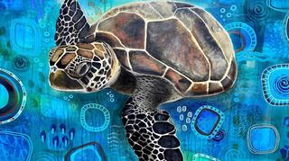 Diese Schildkröte schwebt scheinbar durchs „Wasser aus Formen und Gebilde“ – eine ganz eigentümliche Verbindung.