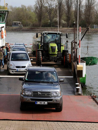 Die Kollerfähre ist eine wichtige Rheinquerung – sowohl für den Freizeitverkehr, als auch für Pendler und die Landwirtschaft, wie dieses alte Bild zeigt.