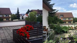 Vorher – nachher: Aus einer Dachterrasse (mit roten Geranien im Kasten) wird eine grüne, insektenfreundliche Oase, die zudem den Speiseplan von Julian Friedrich und seiner Freundin gesund erweitert.