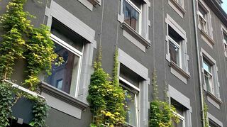 Kübel, aus denen Pflanzen an Seilen nach oben ranken, zieren diese Hauswand in Mannheim.