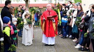 Pfarrer Erwin Bertsch begibt sich vom Pfarrgarten von St. Sebastian aus auf den Weg, um feierlich in die Kirche einzuziehen. Die Besucher, die seinen Weg säumen, sind mit Palmsträußen und -stecken ausgestattet.