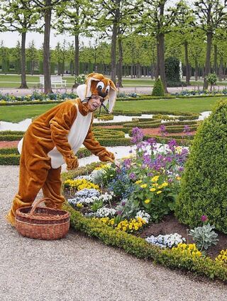Es ist wieder so weit: Am Ostersonntag, 17. April, ist der Osterhase ab 11 Uhr zu Gast im Schlossgarten Schwetzingen. Meister Lampe bringt nicht nur Hunderte bunter Eier für große und kleine Besucher, er erzählt bis 16 Uhr auch spannende Geschichten.