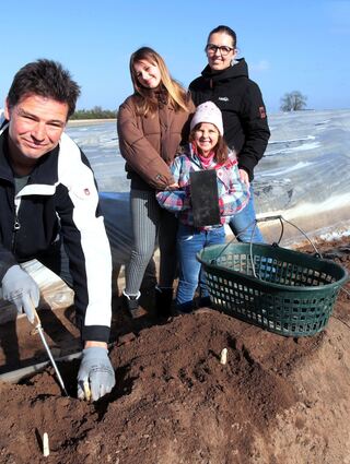Andreas (v. l.), Heidi, Maria und Natalia Hallwachs ernten stolz den ersten Spargel auf ihrem Acker in Plankstadt. Sie bauen auch unter Folie an.