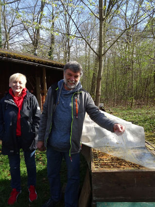 Imker Günther Martin (daneben Stadträtin Anja Mohrmann) zeigt den geöffneten Bienenstock.