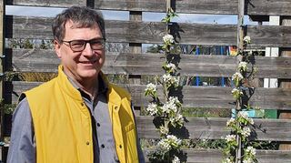 Tillmann Hettinger im Garten von Thorsten Röder. Der Vorsitzende des Obst- und Gartenbauvereins bewundert einen säulenartig gezüchteten Birnenbaum.