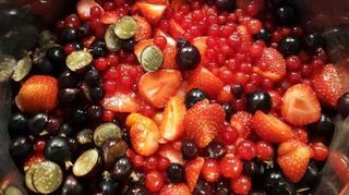 Erst die Ernte, dann der Genuss: Obstsalate sehen bei Thorsten Röder nicht nur gut aus, sondern schmecken auch.