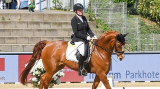Hannelore Brenner und „Belissima“ – das klappt auch beim Maimarkt-Reitturnier im MVV-Stadion immer besser.