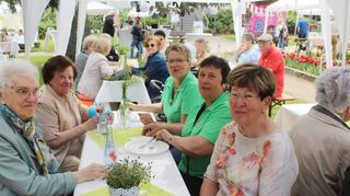 Brigitte Zahn (v.l.), Elfriede Dorn, Elisabeth Klee, Helga Geiß und Else Keilbach freuten sich über leckeres Essen und die gute Gesellschaft in angenehmer Atmosphäre.
