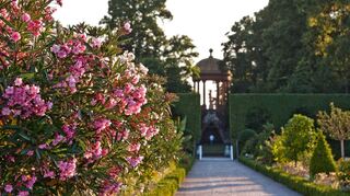Romantischer Einblick: Der Schlossgarten Schwetzingen bietet viele Facetten.