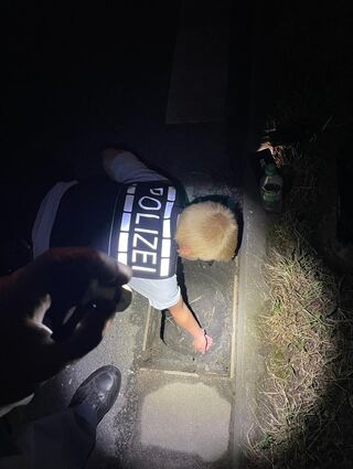 Die Polizeibeamten befreien die winzigen Tiere aus Schächten, in die sie gefallen sind.