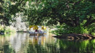 Schattig, viel Wasser und frische Luft: Im Sommer lässt es sich in Stadtparks wie dem Mannheimer Luisenpark gut aushalten.