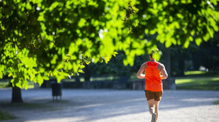 Zur späteren Abendstunde oder wie hier auf dem Bild früh am Morgen: Anstrengender Sport wie Joggen sollte nicht am Tag passieren.