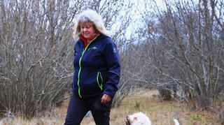 Jane Ekström mit Trüffelhund Argon ist in den Wäldern Gotlands auf der Jagd nach den begehrten Pilzen.