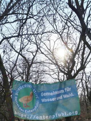 Noch scheint die Sonne über dem Enten-pfuhl auf einen großen Baumbestand.