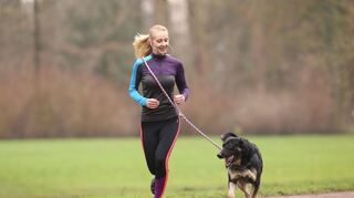 Gutes Zeichen: Der Hund läuft fröhlich voraus.
