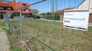 Recht trostlos sieht die Blühwiese in der Wiesenbacher Straße derzeit aus, was auch am hochsommerlichen Wetter liegt. Doch aus Sicht der Gemeinde wächst die naturnahe Fläche gut an und bietet bereits jetzt einen Lebensraum für Insekten.