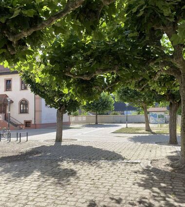 Auf dem freien Platz im Hintergrund, rechts vom Schulgebäude A, soll der Neubau er-richtet werden.