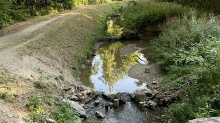 Blick Ende Juli von der Steinernen Brücke auf den Kriegbach. Noch führt er Wasser, kein Vergleich mit der Situation im vergangenen August.