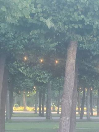 Unsere Leserin fotografierte auch die Lichterketten an den Wegen, die tagsüber eingeschaltet waren. Hier soll es sich um einen technischen Defekt bei einer Zeitschaltuhr gehandelt haben, weshalb die Lichter auch bei Sonnen-schein noch leuchteten.