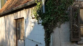 Wohnlich sieht das nicht mehr aus: Dieses Haus steht im Oftersheimer Dietzengässel und zerfällt vor sich hin.