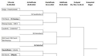 Das ist der „Baum“ des Kreispokals, der am 31. August in seine nächste Runde geht. Fünf Clubs stehen schon im Achtelfinale.