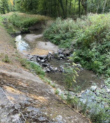 Der Sommer ist trockener als der im vergangenen Jahr, doch bis jetzt haben die getroffenen Maßnahmen gegriffen, der Kriegbach ist noch nicht trocken gefallen.